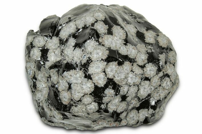 Snowflake Obsidian Section - Utah #327137